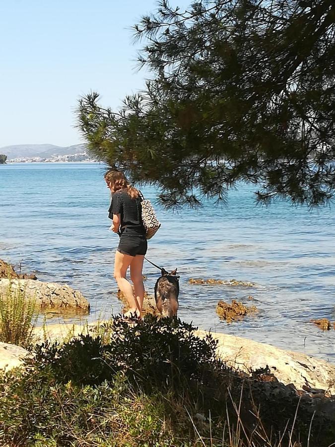 Villa Caroline Trogir Exterior photo